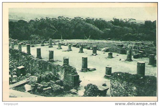 Tipaza  Basilique judiciaire - (c1370)