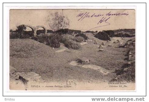 Algérie  TIPAZA   Ancienne basilique urbaine