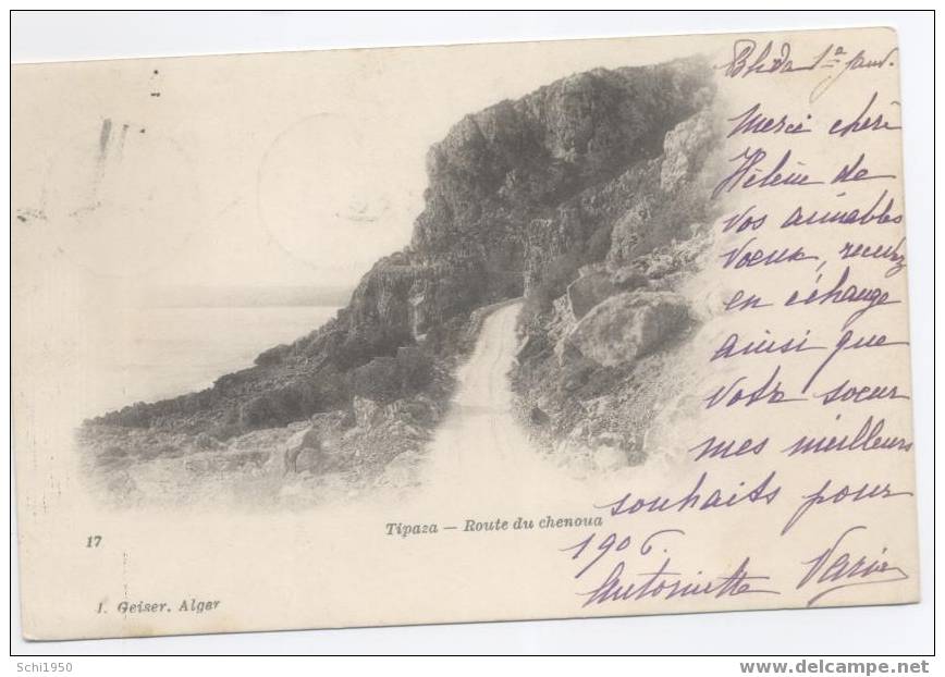 JP . ALGERIE  .  TIPAZA       .route du chenoua . 1906 .