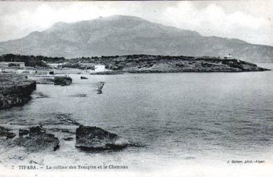 ALGERIE.Tipaza.La colline des Temples et le Chenoua.Carte Geiser.