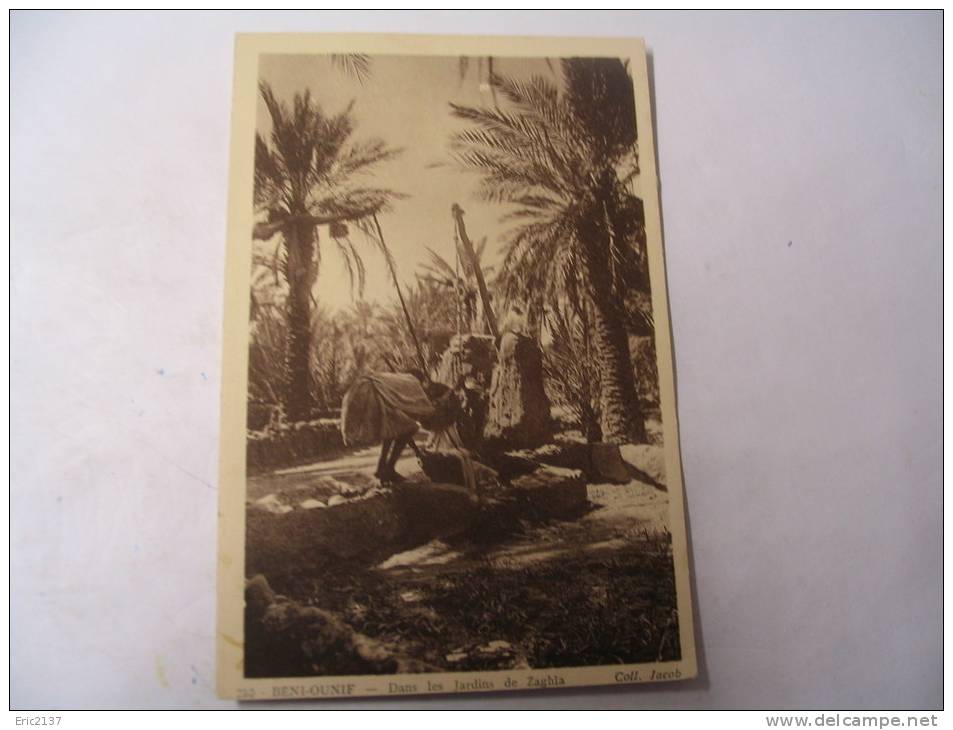 EL- BENI-OUNIF...DANS LES JARDINS DE ZAGHLA.