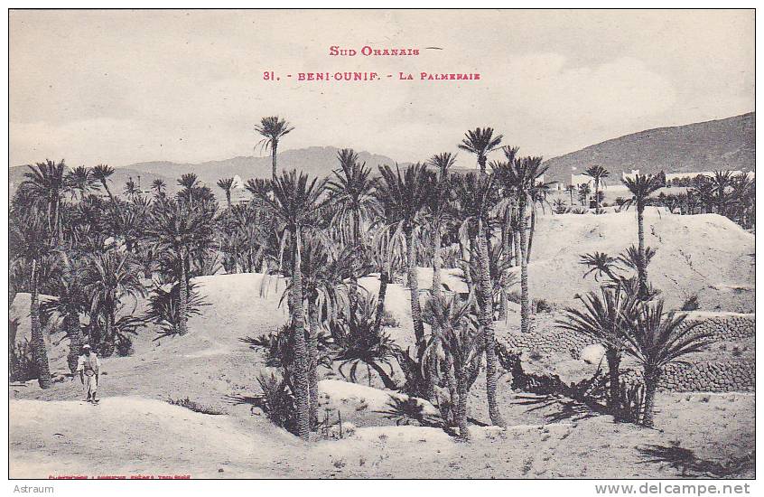 cpa-alg-beni ounif--la palmeraie-lebouche freres