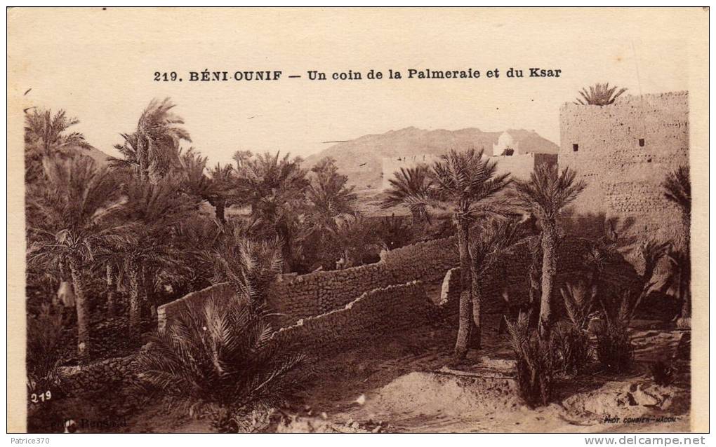 ALGERIE BENI OUNIF - Un coin de la palmeraie et du Ksar