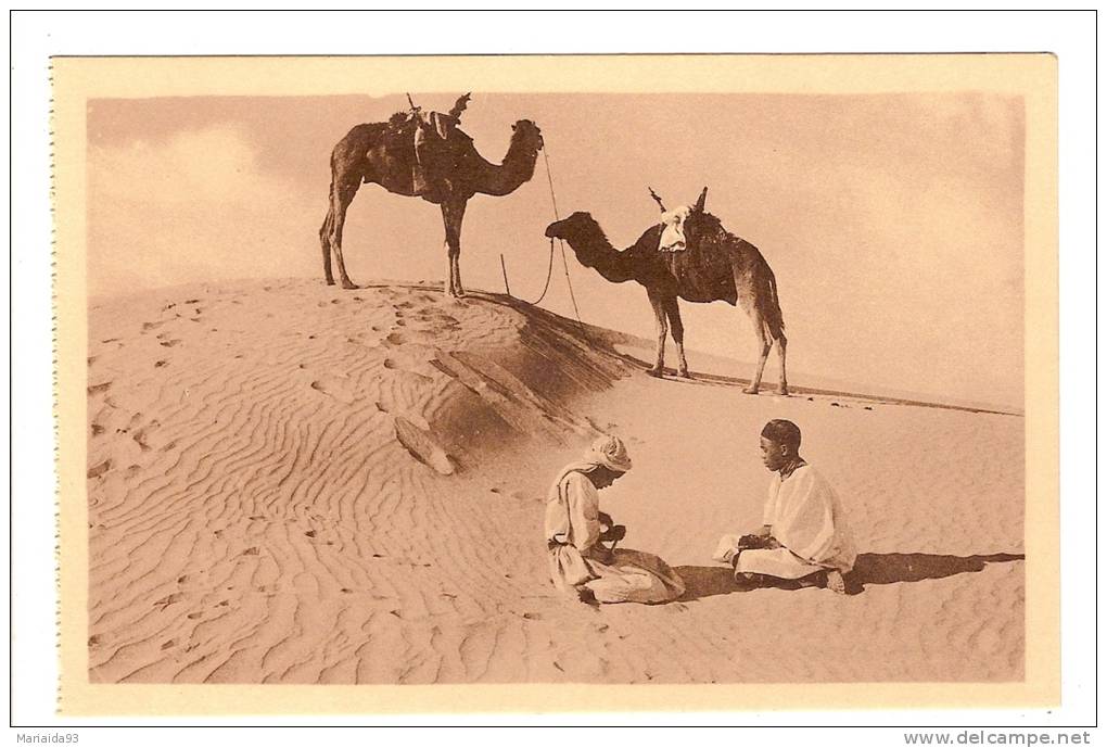BENI OUNIF - ALGERIE - CHAMELIERS AU DESERT DANS LE GRAND ERG - CHAMEAU - BELLE ANIMATION