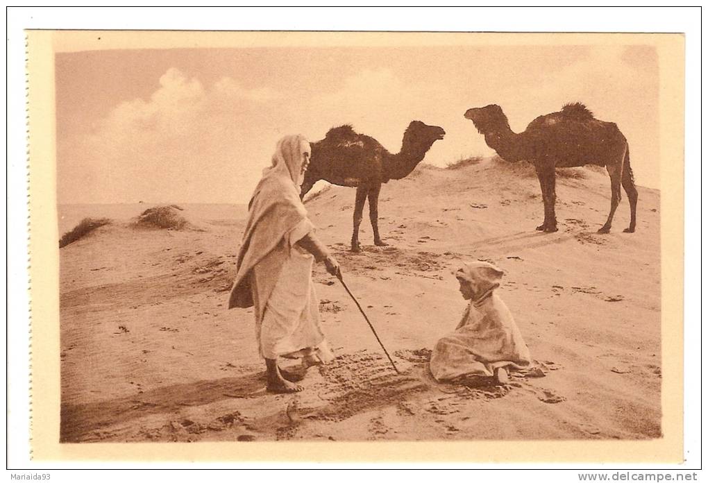BENI OUNIF - ALGERIE - DEMONSTRATION SUR LE SABLE - CHAMEAU - BELLE ANIMATION