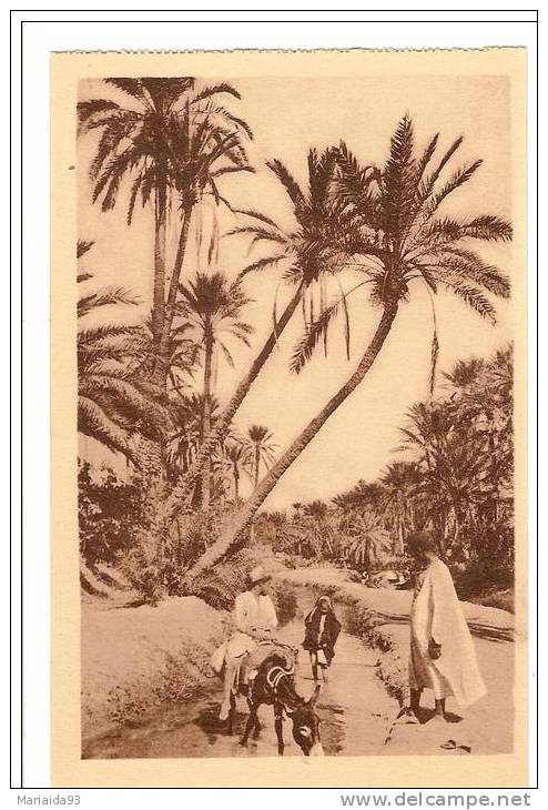 BENI OUNIF - ALGERIE - UN COIN D'EAU DANS L'OASIS - ANIMATION