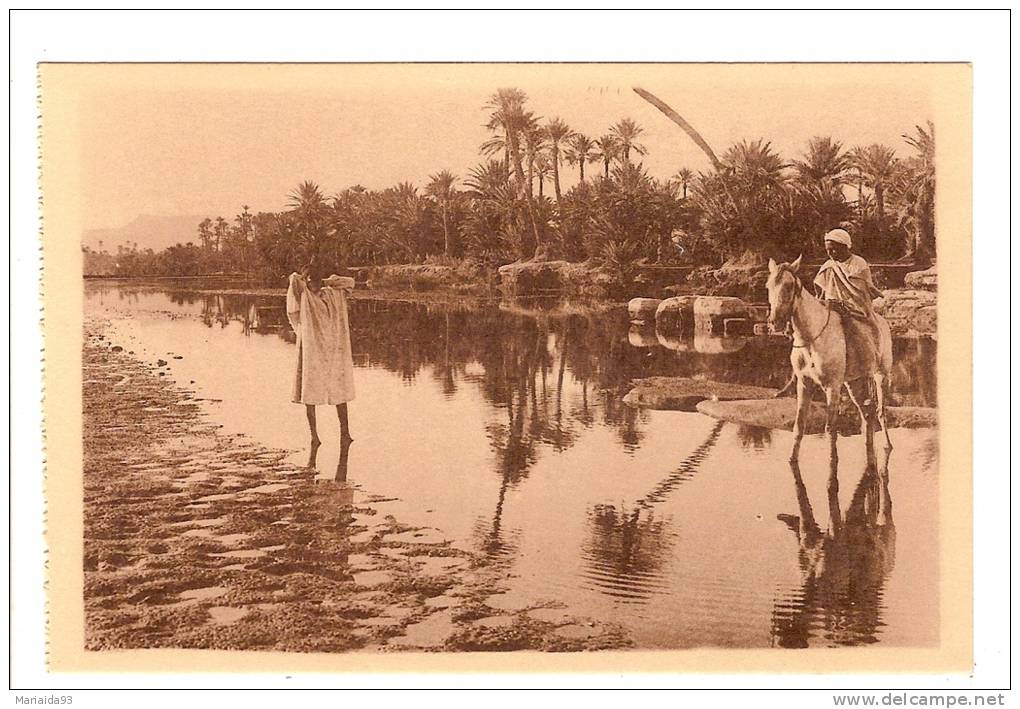 BENI OUNIF - ALGERIE - LA RIVIERE AUX ABORDS DE L'OASIS - ANIMATION