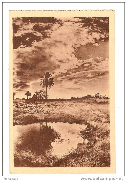 BENI OUNIF - ALGERIE - EFFET DE NUAGES - PETITE ANIMATION