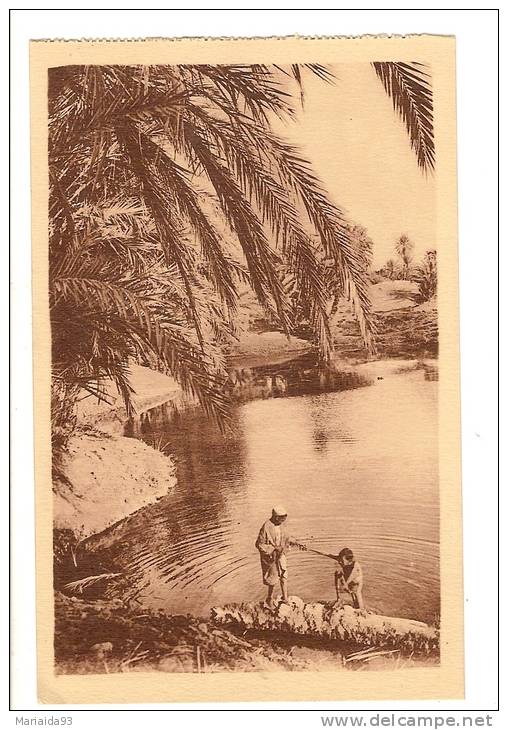 BENI OUNIF - ALGERIE - PLAISIRS D'ETE AU SAHARA - ANIMATION