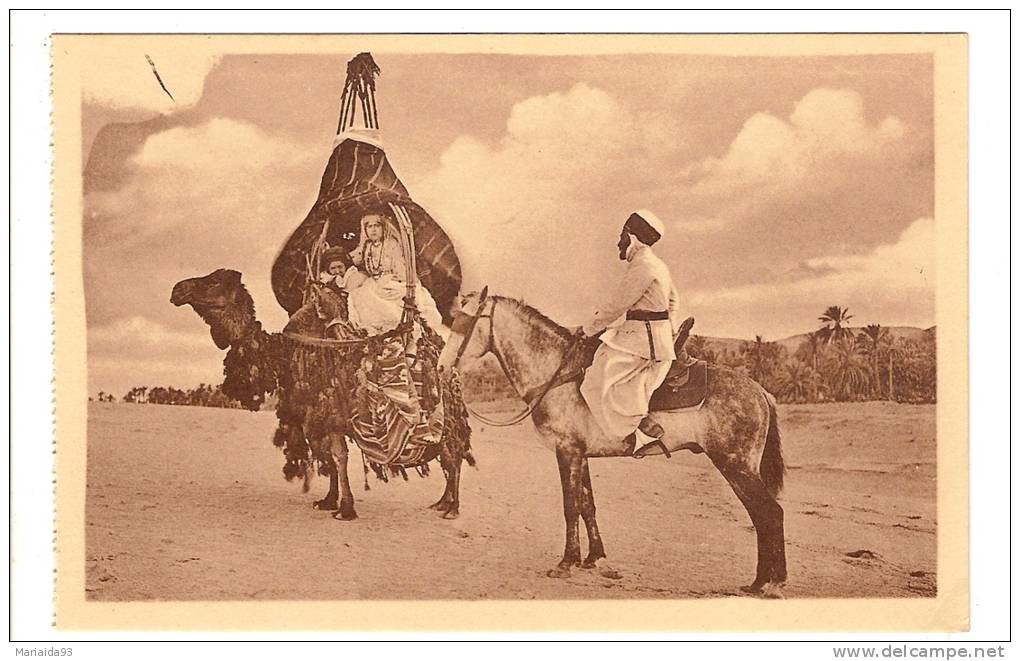 BENI OUNIF - ALGERIE - AGREABLE RENCONTRE - CHAMEAU