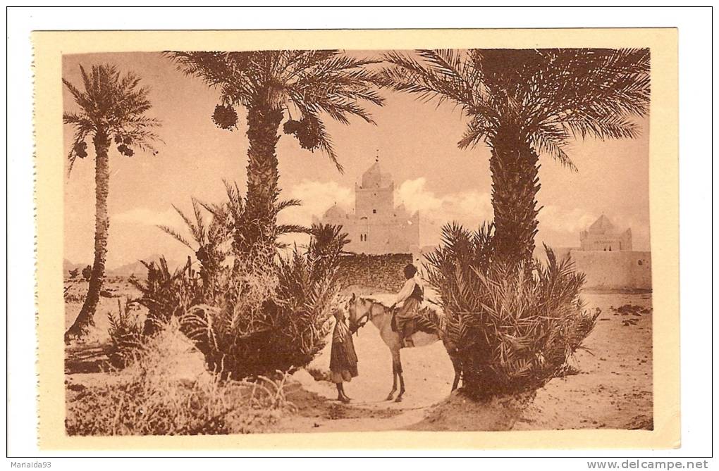 BENI OUNIF - ALGERIE - LA MOSQUEE - PALMIER DATTIER