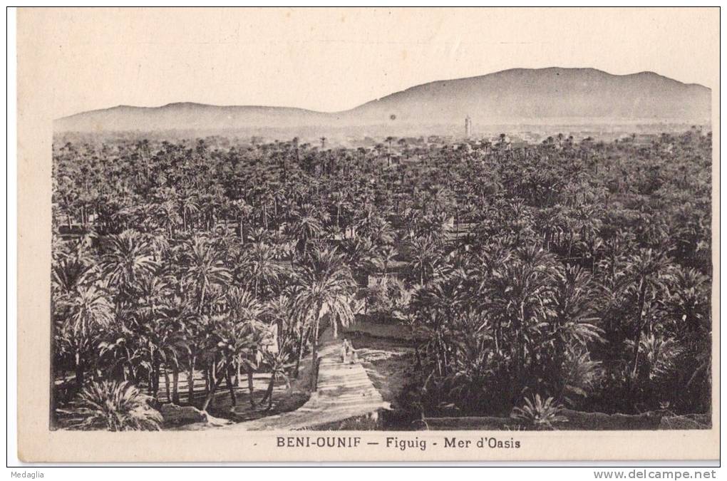 BENI-OUNIF - Figuig - mer d'oasis