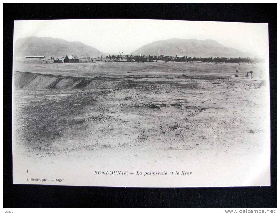H 240) Algérie - Beni Ounif - FP - non viaggiata