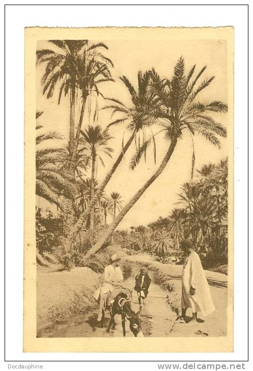 BENI OUNIF un cours d'eau dans l'oasis edit prouho années 30