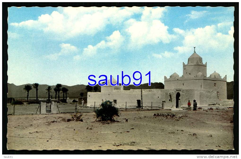 Beni-Ounif -    Le Marabout   -  Réf  24076