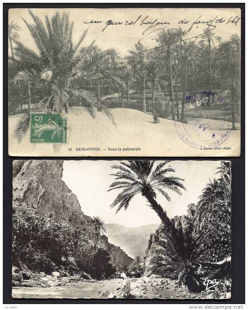 LOT 2 CPA  ANCIENNES-  ALGÉRIE- PHOTO GORGES ET OUED ANIMÉS- BENI-OUNIF  LA PALMERAIE