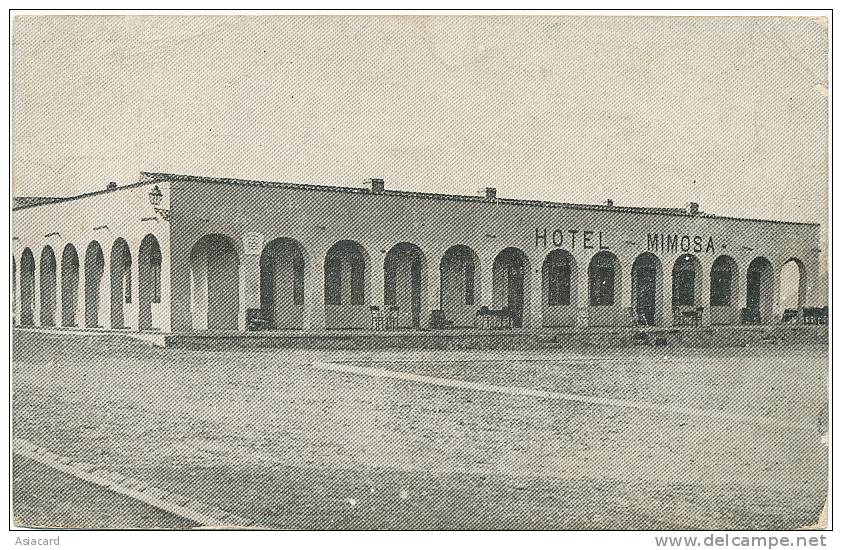Figuig  Beni Ounif  Hotel Au Mimosa Mme Dorleans