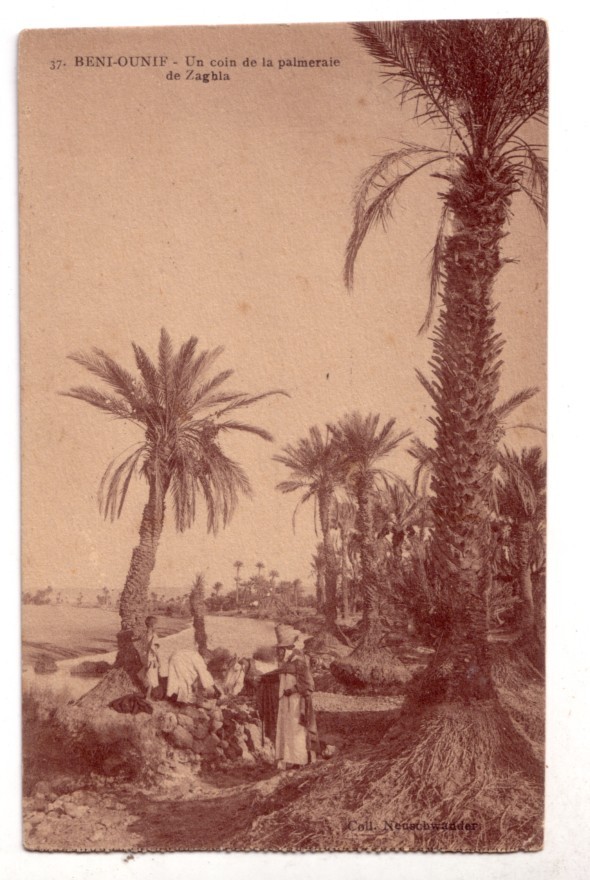 37  -   BENI - OUNIF