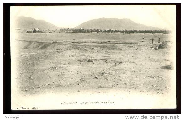 BENI-OUNIF - 1  La Palmeraie et le Ksar - (Beau plan)