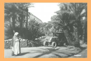 palmeraie de Taghit