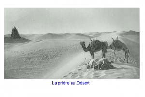 Le Désert   du sable à l'infinie