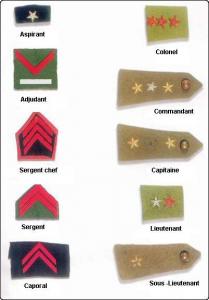 LES GRADES dans l' A.L.N