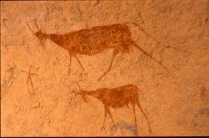 Gravures rupestres à Tamanrasset