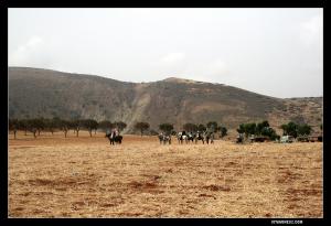 Waadet El Hajra ou Waadet Sidi Amara