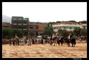 Hajrat El Gatt, la waada de Sidi Amara