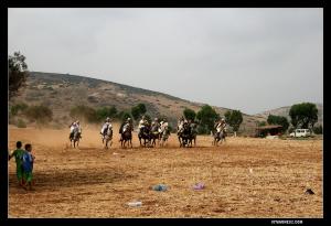 وعدة حجرة القط