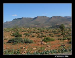 Les montagnes des Beni Snous