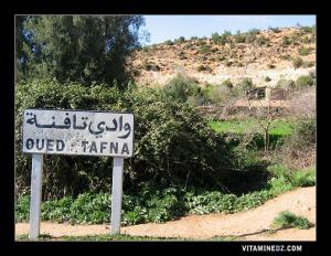 Oued Tafna dans la région des Beni Snous