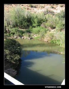 Oued Tafna traversant la région des Beni Snous