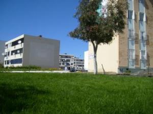 Sétif : Quartier des 600 logements