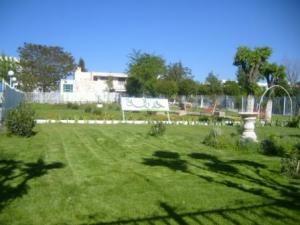 Sétif : Parc d'attraction et espaces verts