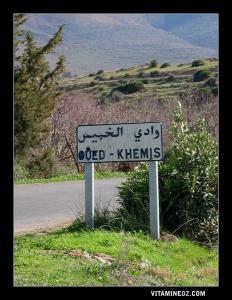 Oued El Khemis