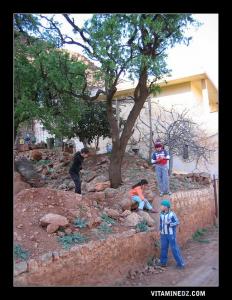Enfants de la région de Beni Snous, El Khemis