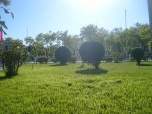 Sétif : espaces verts place de la mairie