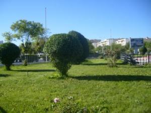 Sétif : espaces verts place de la  mairie