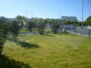 Sétif : Espaces verts