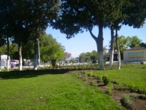 Sétif : espaces verts du parc d'attraction