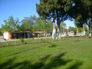 Sétif : espaces verts du parc d'attraction