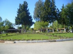 Sétif : espaces verts du parc d'attraction