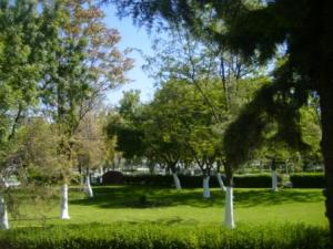 Sétif : espaces verts du parc d'attraction