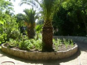 Sétif : jardins publics et espaces verts