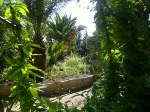 Sétif : jardins publics et espaces verts