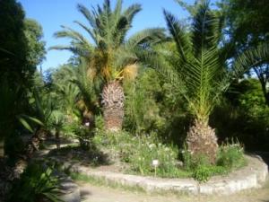 Sétif : jardins publics et espaces verts