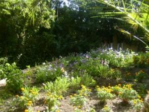 Sétif : jardins publics et espaces verts