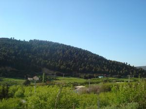 ferme des gardes forestiers au lieu dit berkane el kantina yabous