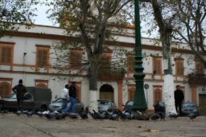 La Mairie de Tlemcen